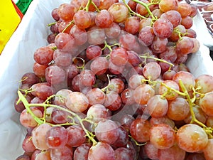 Fresh red grapes on storage shelf