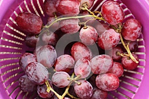 Fresh red grapes on the table macro