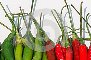 Fresh red and green chilli on white background
