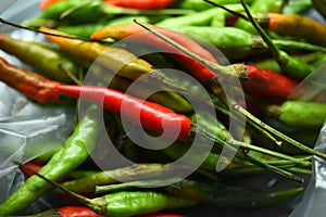 Fresh red green chillies in plastic bags