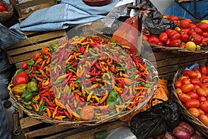 Fresh red, green and yellow chilies, Sucre, Bolivia