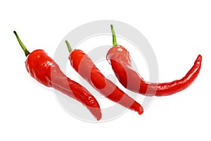 Fresh red hot chili pepper