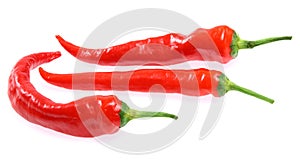 Fresh red hot chili pepper