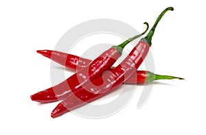 Fresh red hot chilli pepper isolated on a white background.