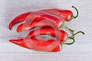 Fresh Red jalapeno pepper on a light background close-up