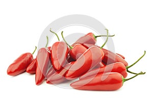 Fresh red jalapeno peppers `Capsicum`