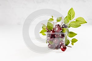 Fresh red juicy cherries with green leaves and tails in transparent plastic box in soft light white interior of kitchen.