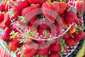 Fresh red juicy strawberry platter