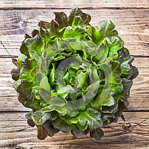 Fresh red lettuce Bush Oak leaves on a wooden table. Copy space