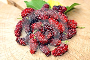 Fresh red mulberries