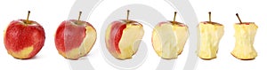 Fresh red natural aple is eaten - set of differents stages of eating an apple photo