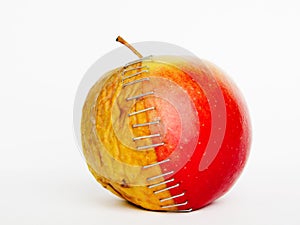 Fresh red and old yellow apple halves with staples on white background,
