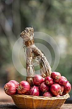 Fresh red onion on rustic wooden table