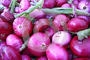 Fresh Red Onions