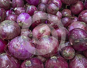 Fresh Red Onions.