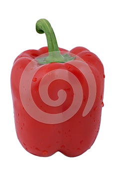Fresh red pepper