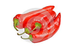 Fresh red pepper