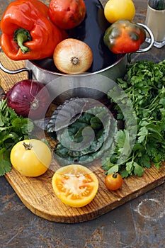 Fresh red pepper , eggplant and onion in pot with tomato, parsley, coriander mangold