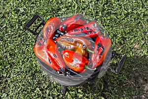 Fresh red pepper on the grilling pan