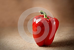 Fresh red pepper on sacking background
