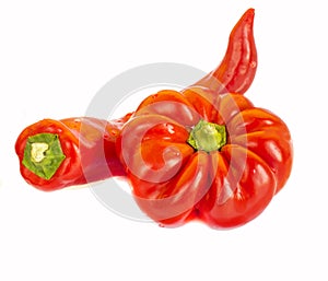 Fresh red pepperBell pepper ,