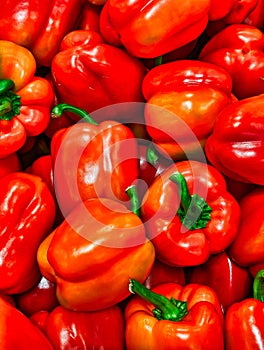 Fresh Red Peppers For Sale in Shop