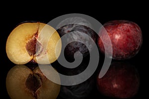 Fresh red plum isolated on black glass