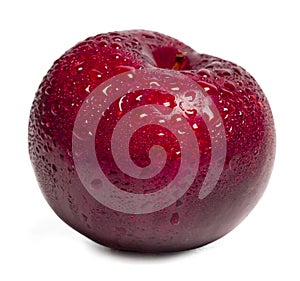 Fresh red plums fruit with water drop on white background