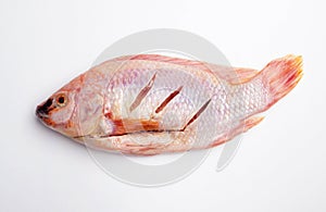 Fresh red pomegranate fish on a white background