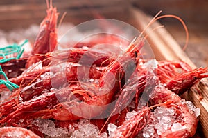 Fresh red Prawns ready to cook