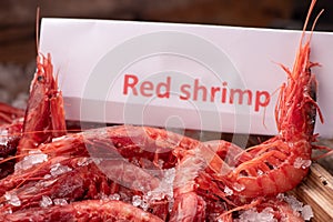 Fresh red Prawns ready to cook with ice