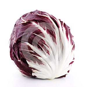 Fresh red radicchio