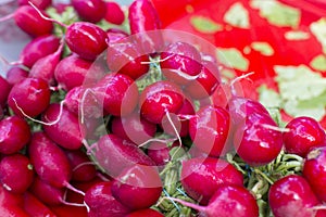 Fresh red radish abstract fruit colorful pattern texture background