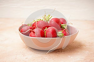 Fresh red radish in a bowl on a beige background, close-up, vertically. Fresh red radish