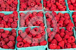 Fresh Red Rasberries in Baskets