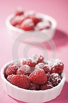 Fresh Red Raspberries