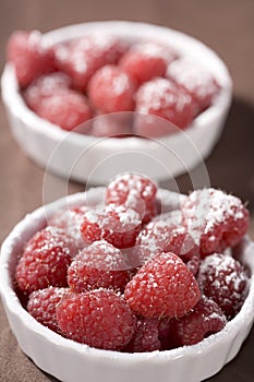 Fresh Red Raspberries
