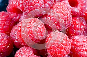 Fresh red raspberries, still life, closeup and detail view