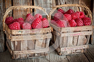 Fresh red raspberries in wooden crates at warehouse rustic setting with soft lighting for food ads