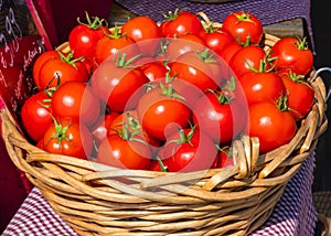 Fresh Red Ripe Delicious Tomatoes in a Basket on sale on Market in the Sunlight