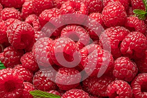 Fresh red ripe raspberries. Raspberries background
