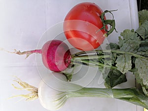 Fresh red ripe tomato, red radish and onion close up