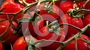 Fresh red ripe tomatoes