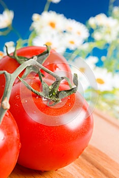 Fresh Red, Ripe Tomatoes.