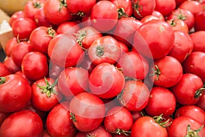 Fresh red ripe tomatoes at farmers market