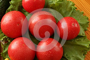 Fresh red ripe tomatoes with water drops lie on a lettuce leaves