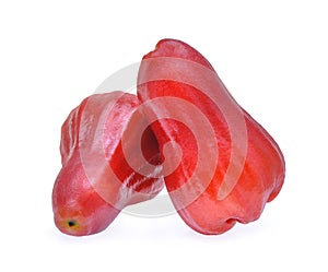 Fresh red rose apple isolated on white background