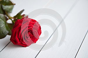 Fresh red rose flower on the white wooden table