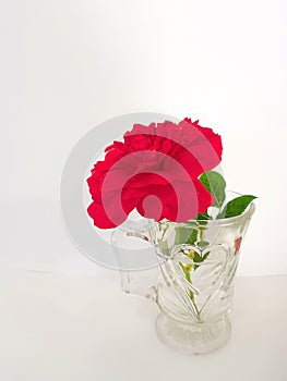 Fresh red rose with green strips in transparent glass with heart shape pattern on white background 2