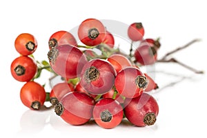 Fresh red rosehip isolated on white